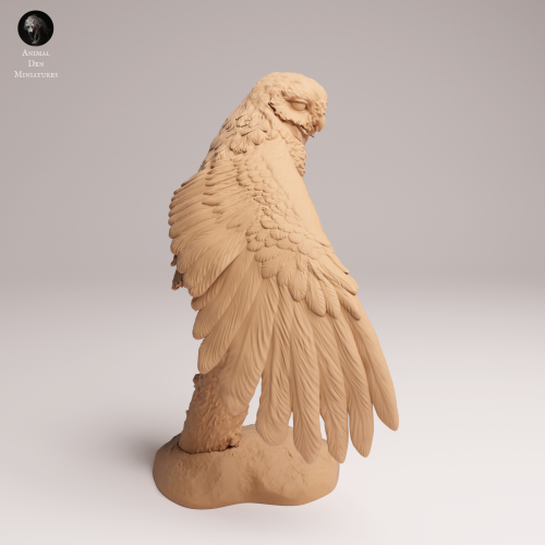 Burrowing Owl Stretch - 2.png