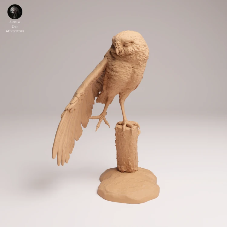 Burrowing Owl Stretch - 3.png