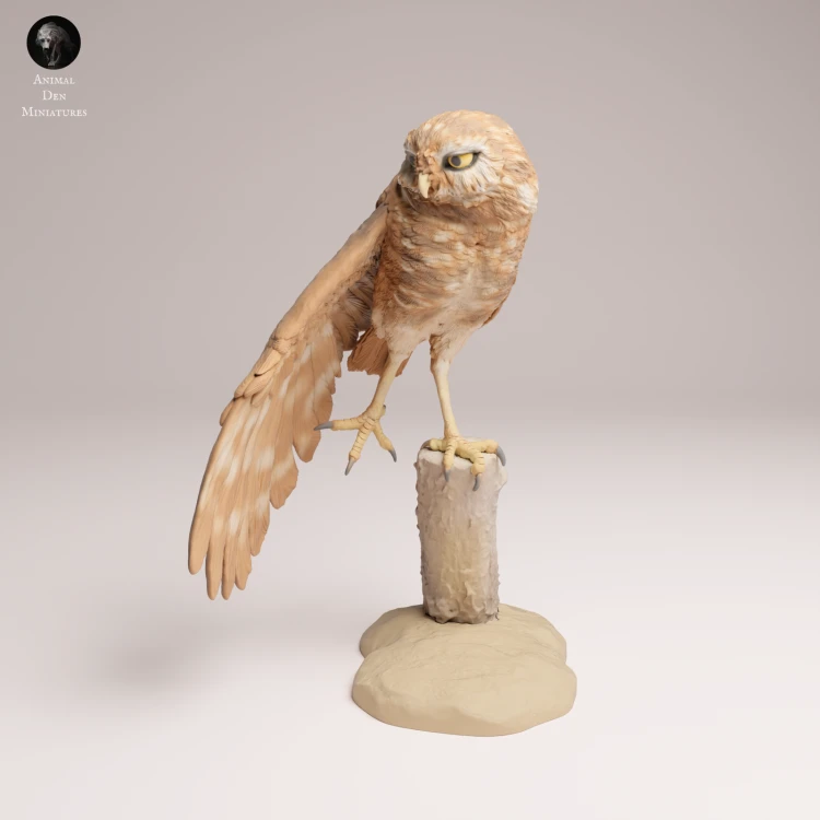 Burrowing Owl Stretch - 4.png