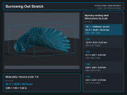 Burrowing Owl Stretch - 5.png