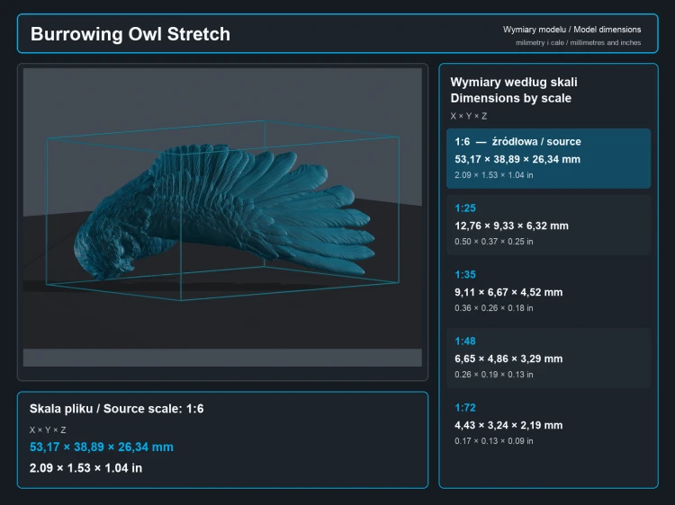 Burrowing Owl Stretch - 5.png
