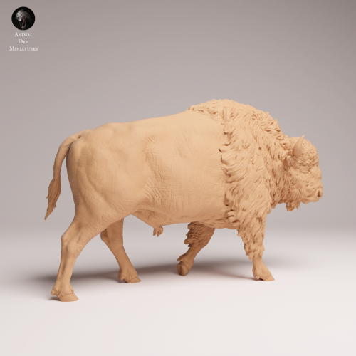 American Bison - 1.png