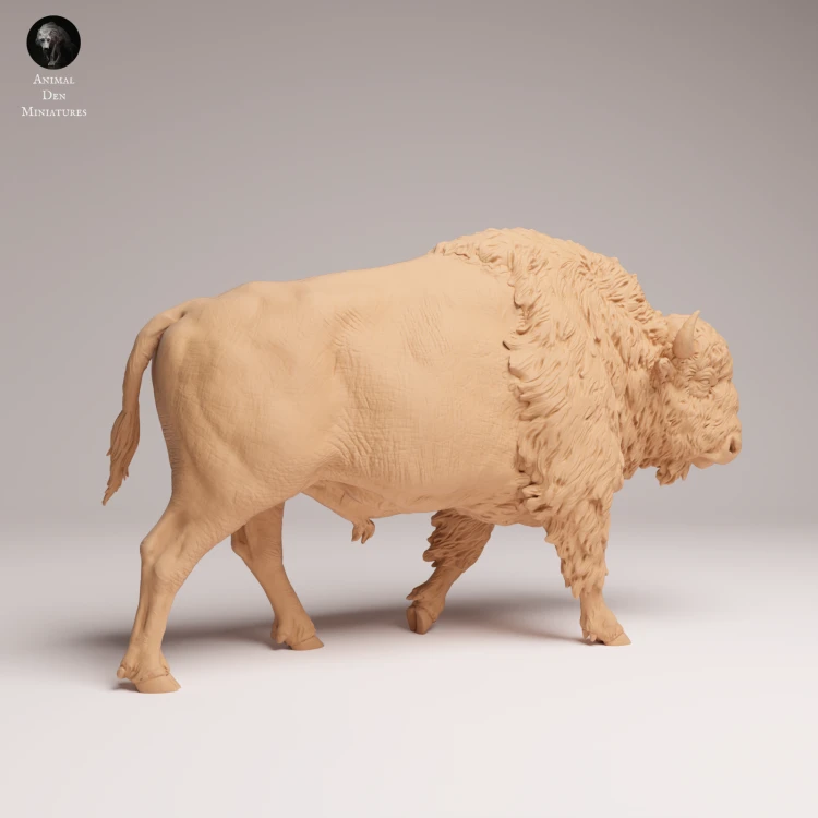 American Bison - 1.png