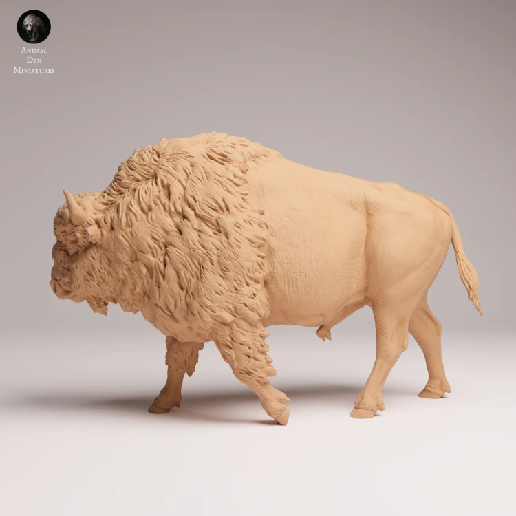 American Bison - 2.png
