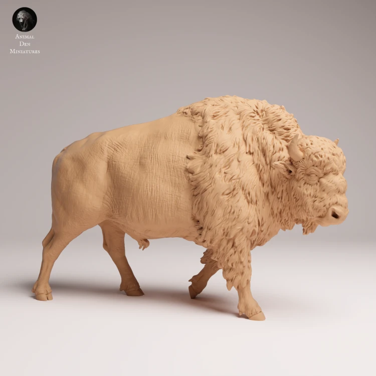 American Bison - 3.png