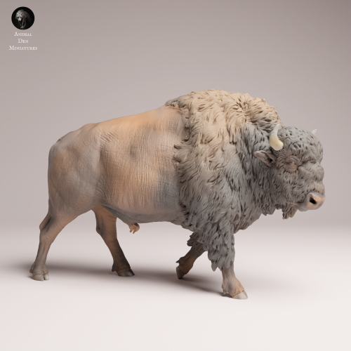 American Bison - 4.png