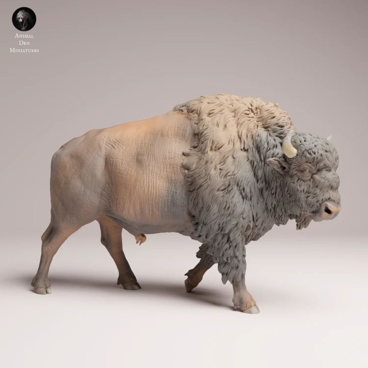 American Bison - 4.png