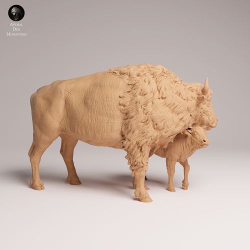 American Bison Cow and Calf - 1.png
