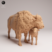 American Bison Cow and Calf - 3.png