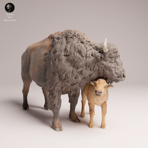 American Bison Cow and Calf - 4.png