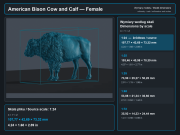 American Bison Cow and Calf - 5.png