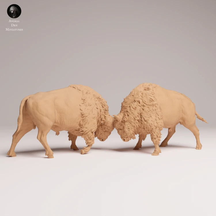 American Bisons Fight - 1.png