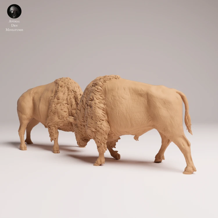 American Bisons Fight - 2.png