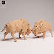 American Bisons Fight - 3.png