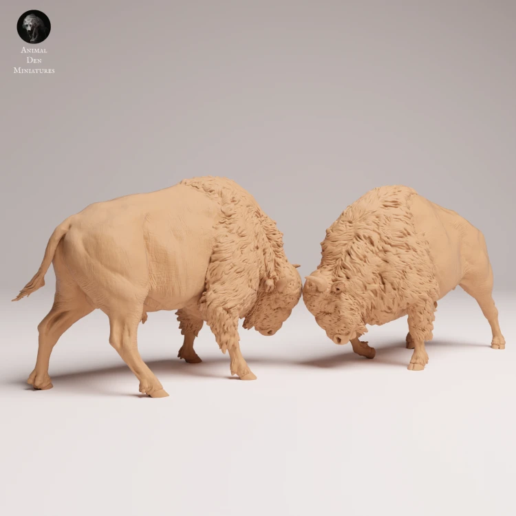 American Bisons Fight - 3.png