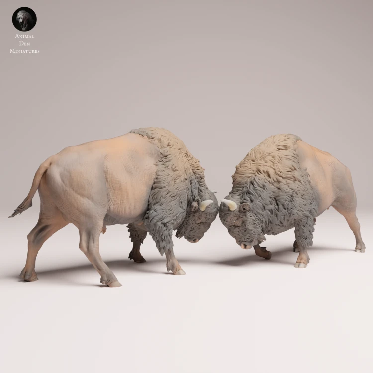 American Bisons Fight - 4.png