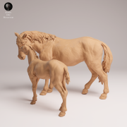 Mustang Female and Calf - 2.png