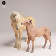Mustang Female and Calf - 4.png