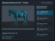 Mustang Female and Calf - 5.png