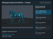 Mustang Female and Calf Run - 5.png