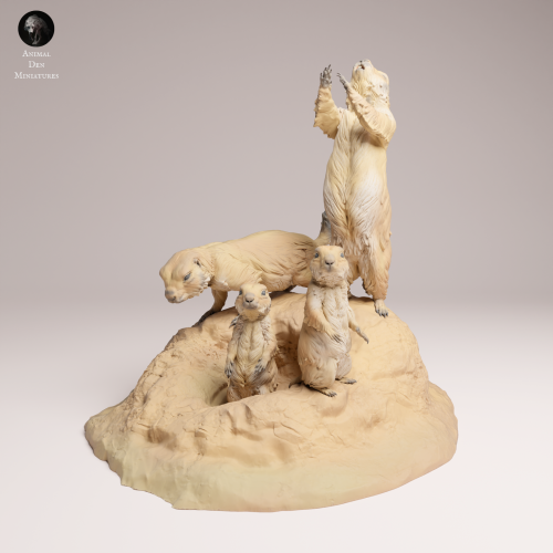 Prairie Dog - 4.png