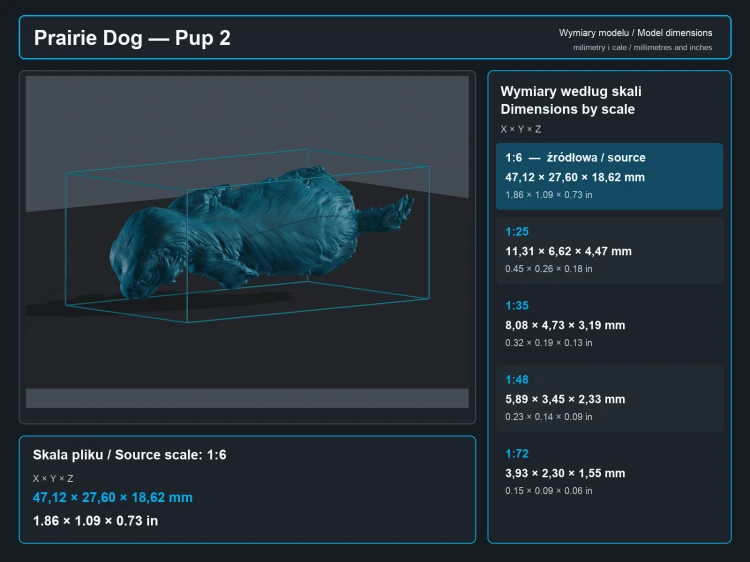 Prairie Dog - 8.png