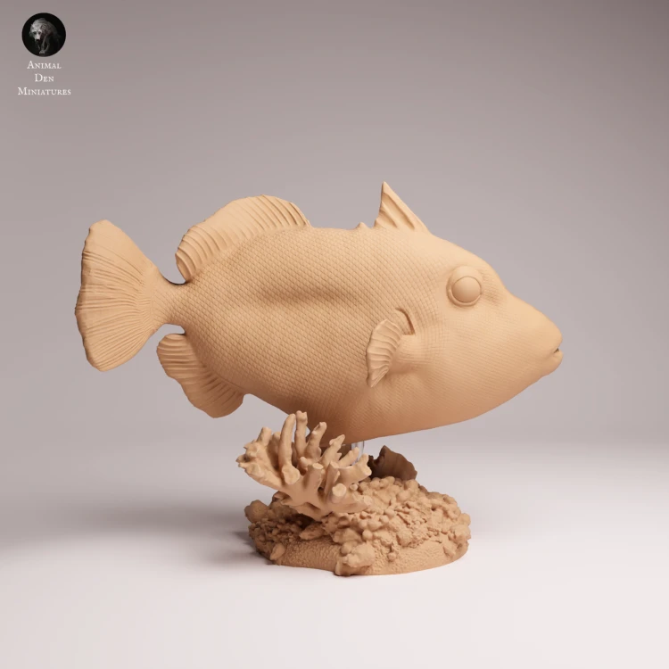 Clown Triggerfish - 2.png