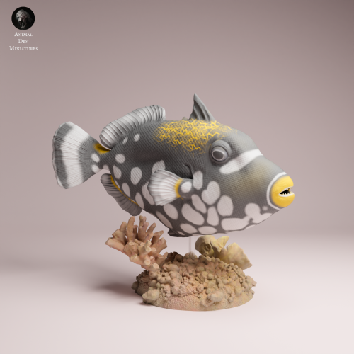 Clown Triggerfish - 4.png