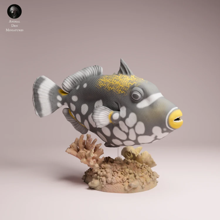 Clown Triggerfish - 4.png