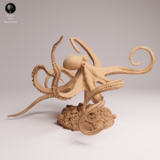 Day Octopus Swim - 1.png