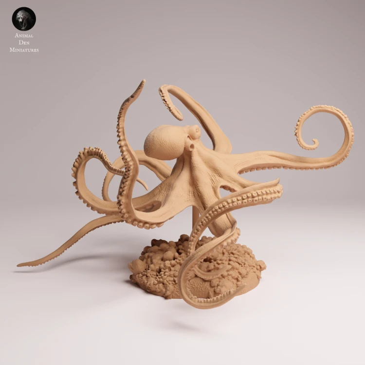 Day Octopus Swim - 1.png
