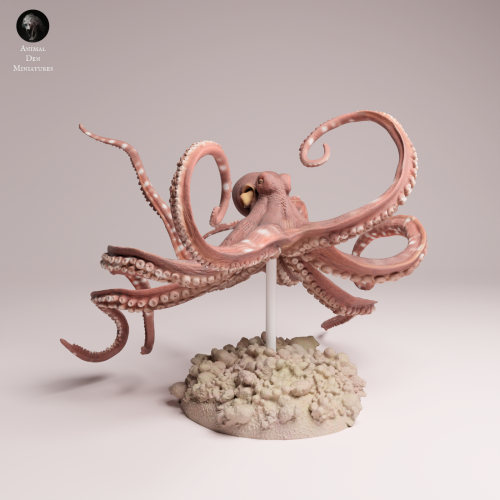 Day Octopus Swim - 4.png