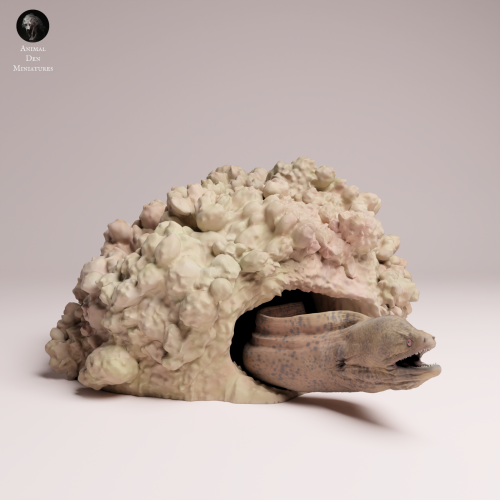 Giant Morray Eel Den - 4.png