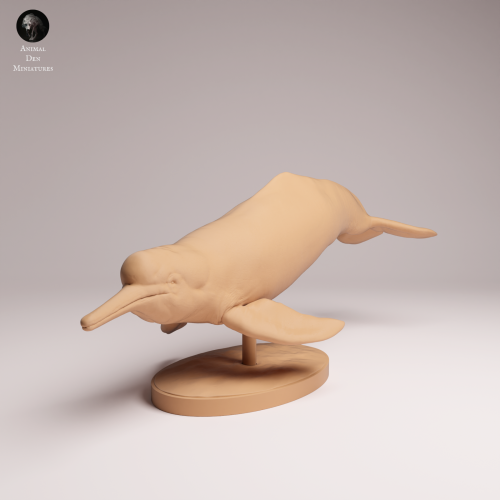 Pink River Dolphin - 1.png