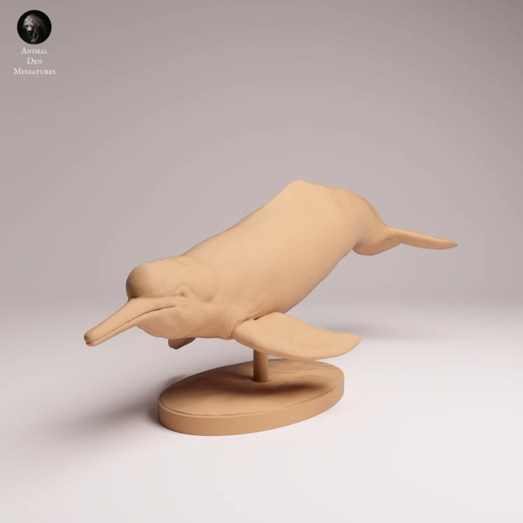 Pink River Dolphin - 1.png