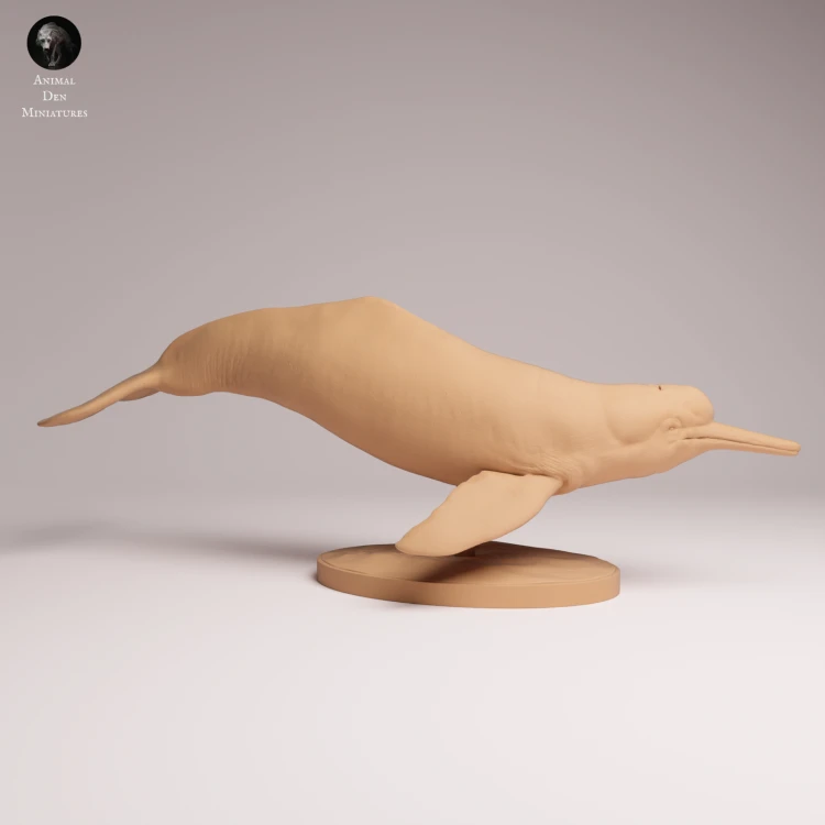 Pink River Dolphin - 2.png