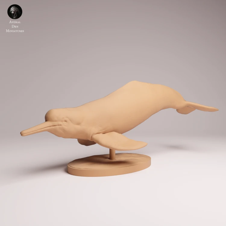 Pink River Dolphin - 3.png