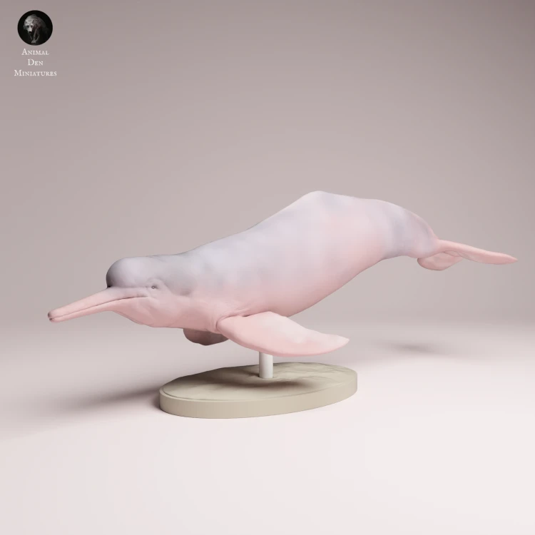 Pink River Dolphin - 4.png
