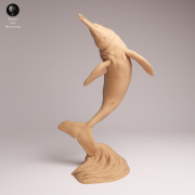 Pink River Dolphin Breaching - 2.png