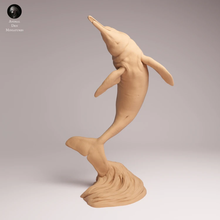 Pink River Dolphin Breaching - 2.png