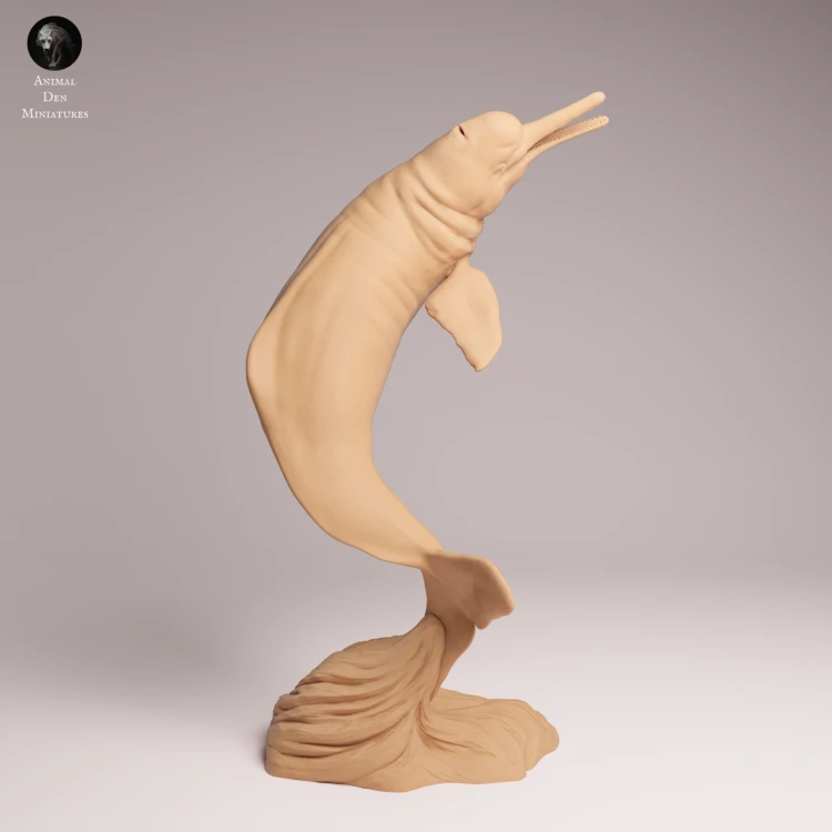 Pink River Dolphin Breaching - 3.png