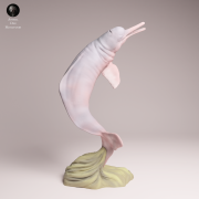 Pink River Dolphin Breaching - 4.png