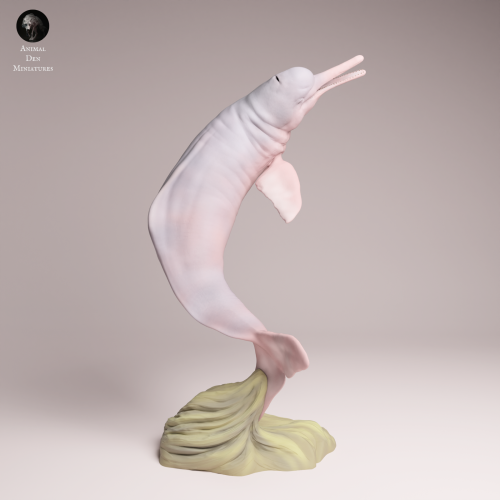 Pink River Dolphin Breaching - 4.png