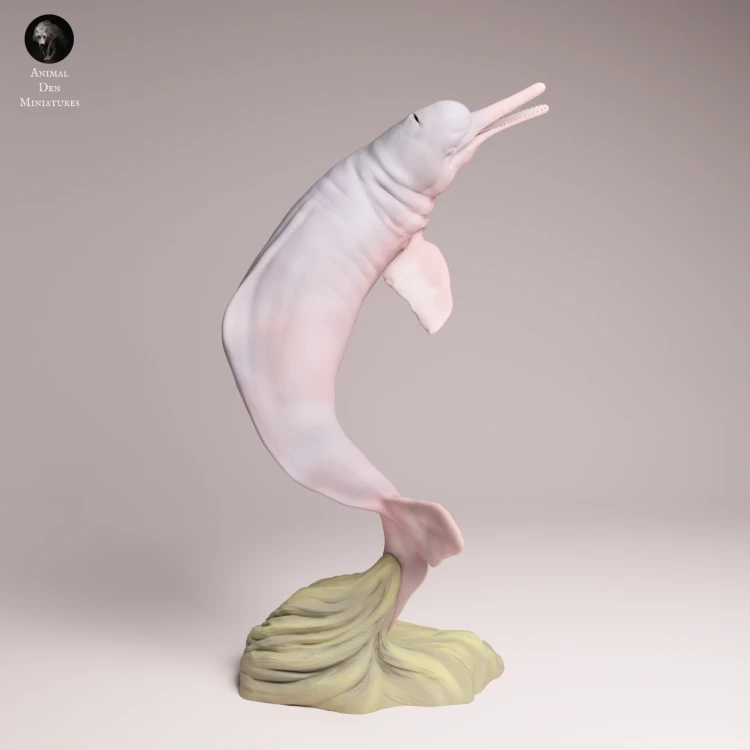 Pink River Dolphin Breaching - 4.png