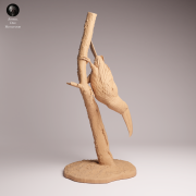 Toco Toucan - 2.png