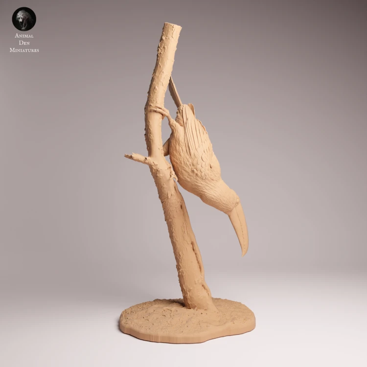 Toco Toucan - 2.png