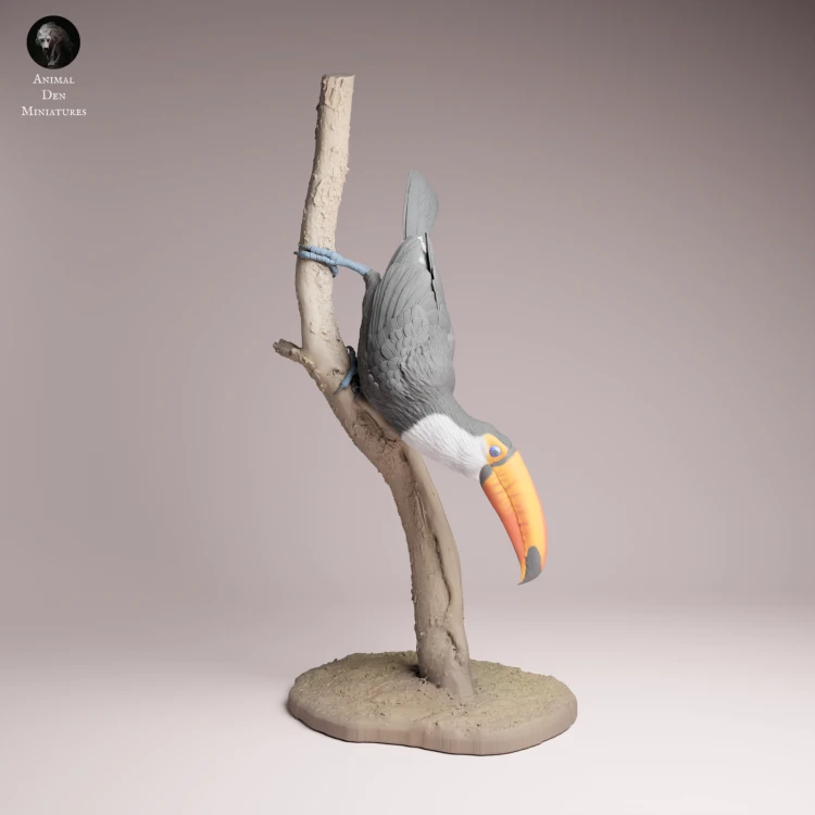 Toco Toucan - 4.png