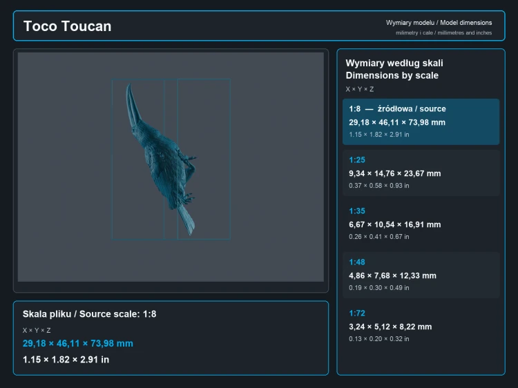 Toco Toucan - 5.png