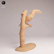 Toco Toucan Eat - 1.png