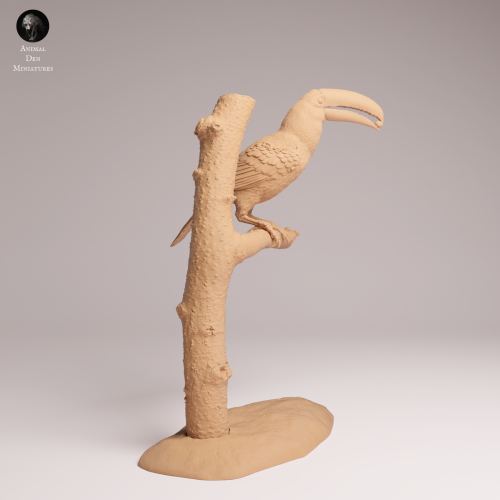 Toco Toucan Eat - 1.png